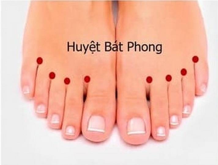 Huyệt Bát Phong