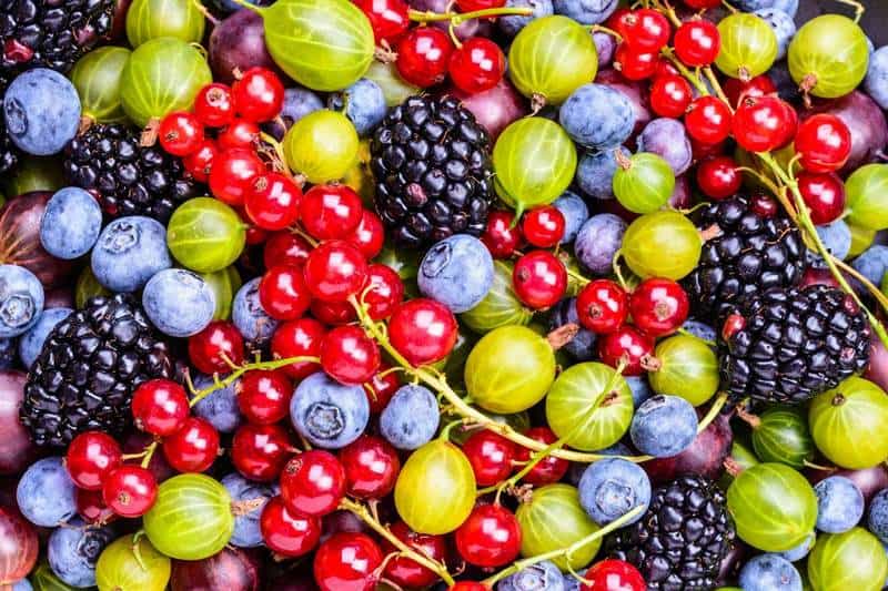 Ăn nhiều quả mọng có thể giảm mỏi lưng khi đến tháng