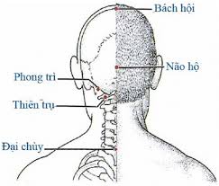 huyệt não hộ