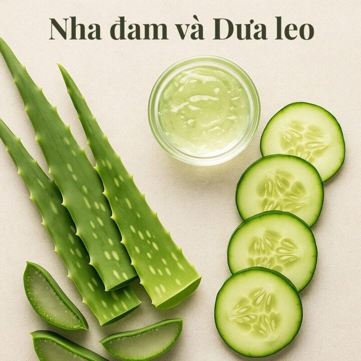 Làm Dịu Da Cháy Nắng Tự Nhiên | Ủ Nha Đam & Dưa Leo Tại Sen Spa Nha Trang Nha đam và Dưa leo