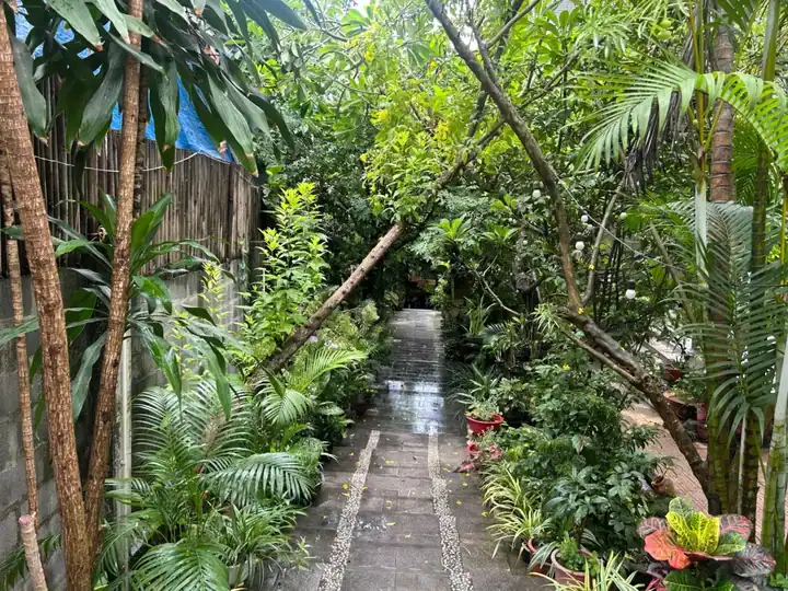 the green lush entrance