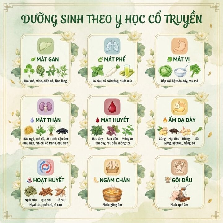 dưỡng sinh thảo dược 